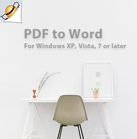 How to Register Flyingbee PDF to Word for Windows